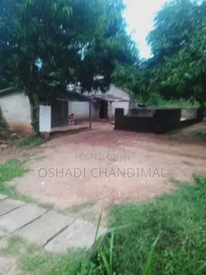 Land for Sale Padiyathalawa