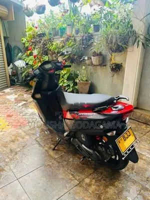 TVS Ntorq 125 Race 2024