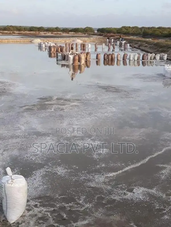 Salt Pan For Sale In Mangalaeliya, Mundel Chilaw