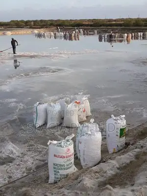 Salt Pan For Sale In Mangalaeliya, Mundel Chilaw