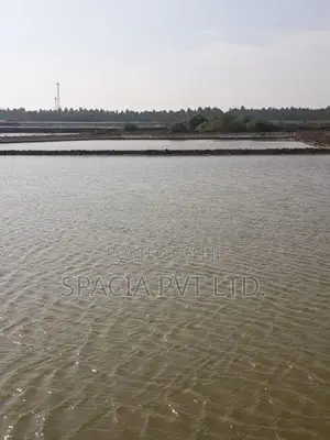 Salt Pan For Sale In Mangalaeliya, Mundel Chilaw
