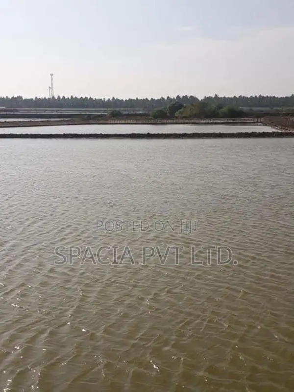 Salt Pan For Sale In Mangalaeliya, Mundel Chilaw