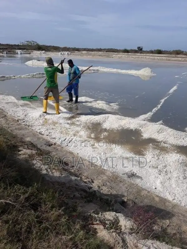 Salt Pan For Sale In Mangalaeliya, Mundel Chilaw