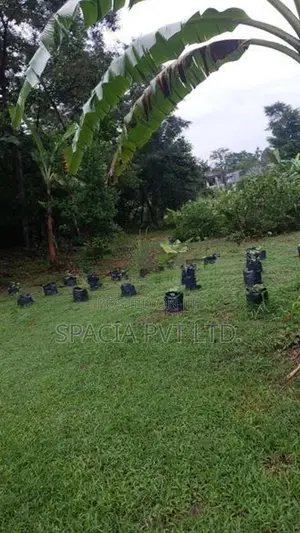 Land For Sale In Temple Road, Athurugiriya