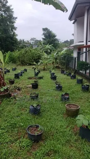 Land For Sale In Temple Road, Athurugiriya
