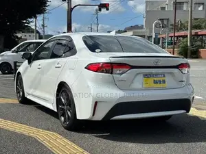 Toyota Corolla WxB 2024