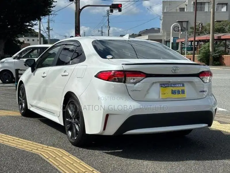 Toyota Corolla WxB 2024