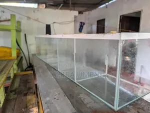 Homes - Fish Tank