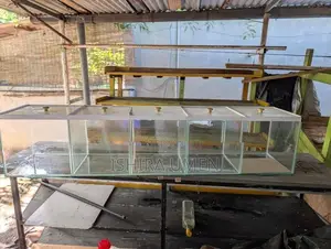Homes - Fish Tank