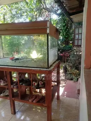 Fish Tank විදුරු ටන්කියක්