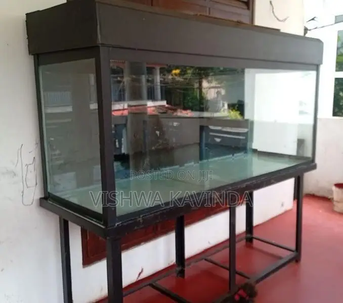 6x2.5x2 Feet Fish Tank