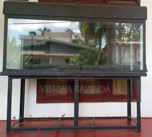 6x2.5x2 Feet Fish Tank