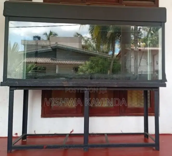 6x2.5x2 Feet Fish Tank