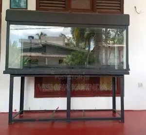 6x2.5x2 Feet Fish Tank