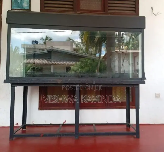 6x2.5x2 Feet Fish Tank