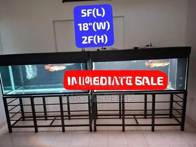 2 Fish Tanks