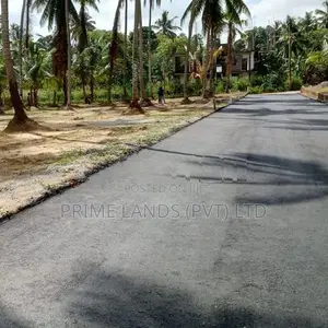 වේයන්ගොඩ නයිවල බිම්කොටස්