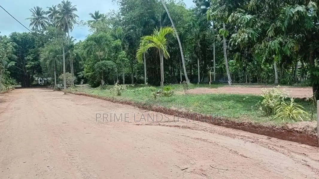 කටාන මීගමුව පාරට මීට්ර් 500 යි බිම්කොටස්