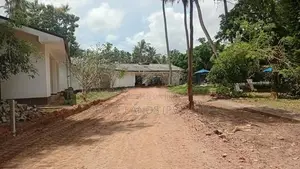 කටාන මීගමුව පාරට මීට්ර් 500 යි බිම්කොටස්