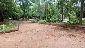 කටාන මීගමුව පාරට මීට්ර් 500 යි බිම්කොටස්