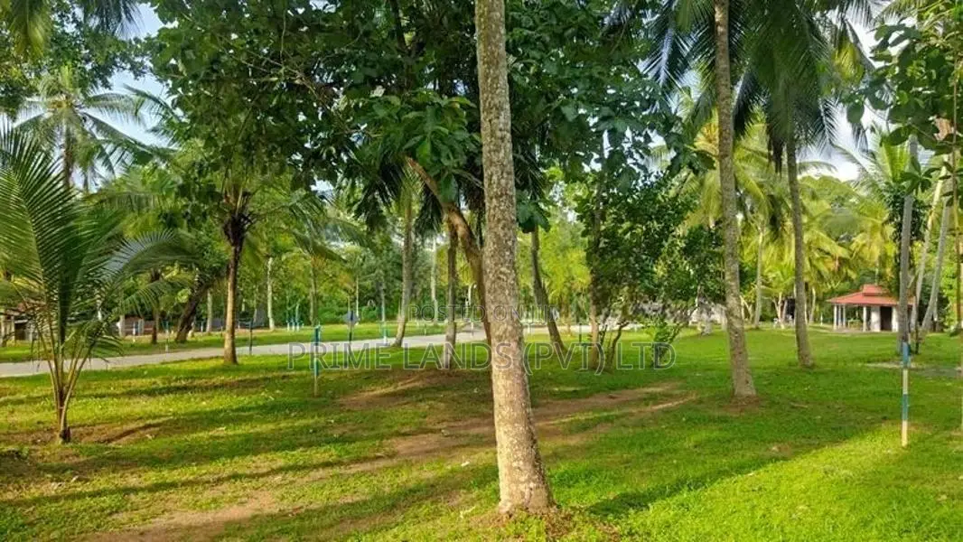 මිනුවන්ගොඩ දෙවොලපල බිම්කොටස්