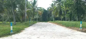මිනුවන්ගොඩ දෙවොලපල බිම්කොටස්