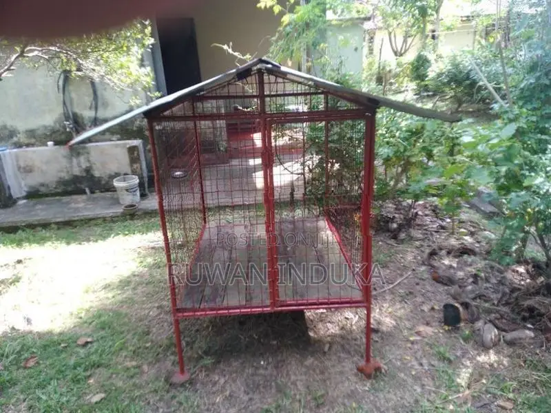 Dog Kennel