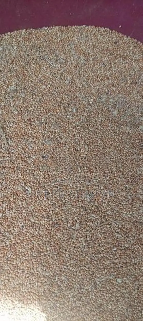 ஊர் திணை