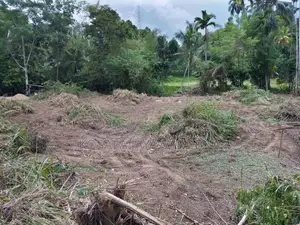 Land For Sale - Rambukkana Randiwela