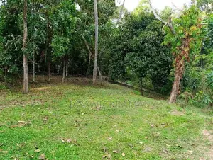 Land for Sale in Weboda Kadawatha