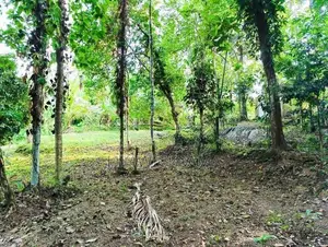 Land for Sale in Weboda Kadawatha