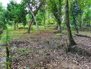 Land for Sale in Weboda Kadawatha
