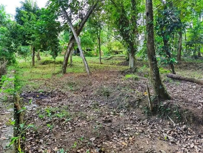 Land for Sale in Weboda Kadawatha