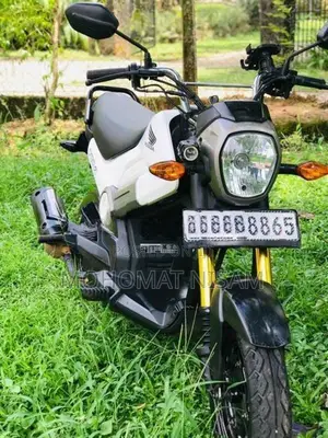 Honda Navi 2019
