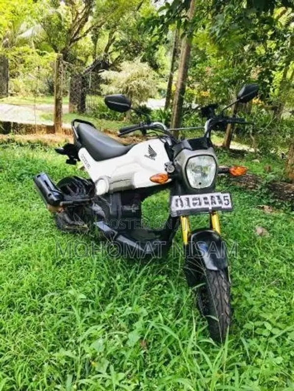 Honda Navi 2019