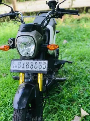 Honda Navi 2019