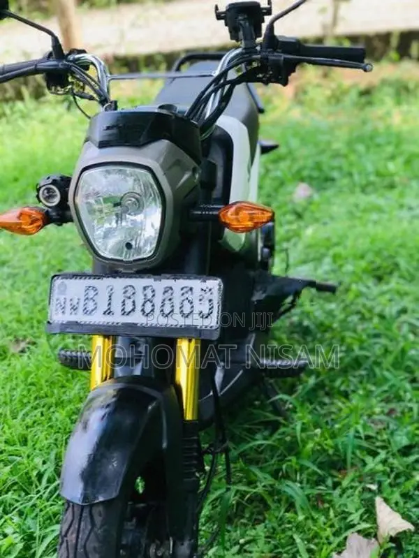 Honda Navi 2019