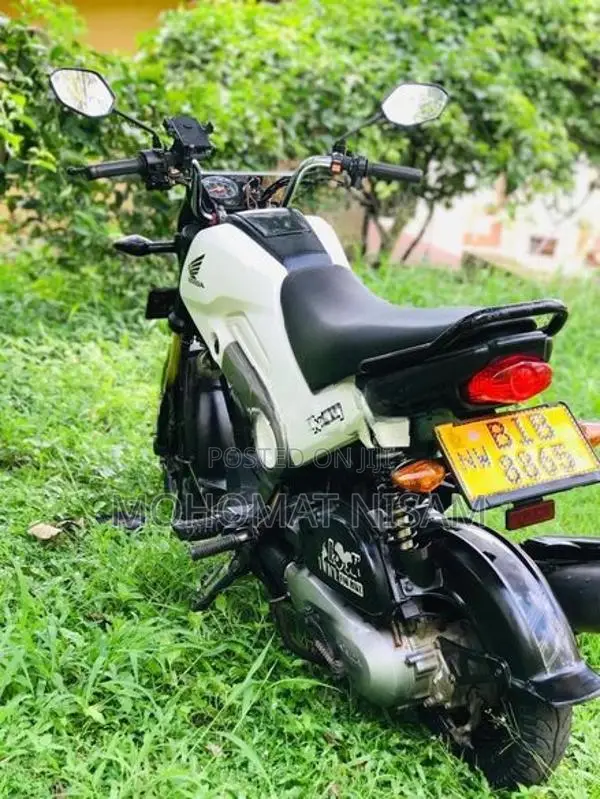 Honda Navi 2019