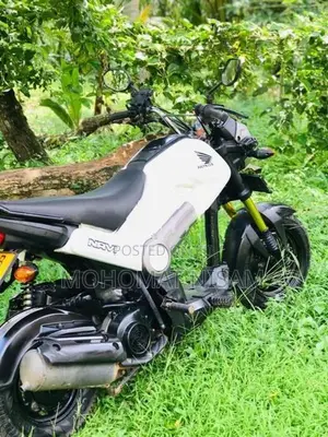 Honda Navi 2019