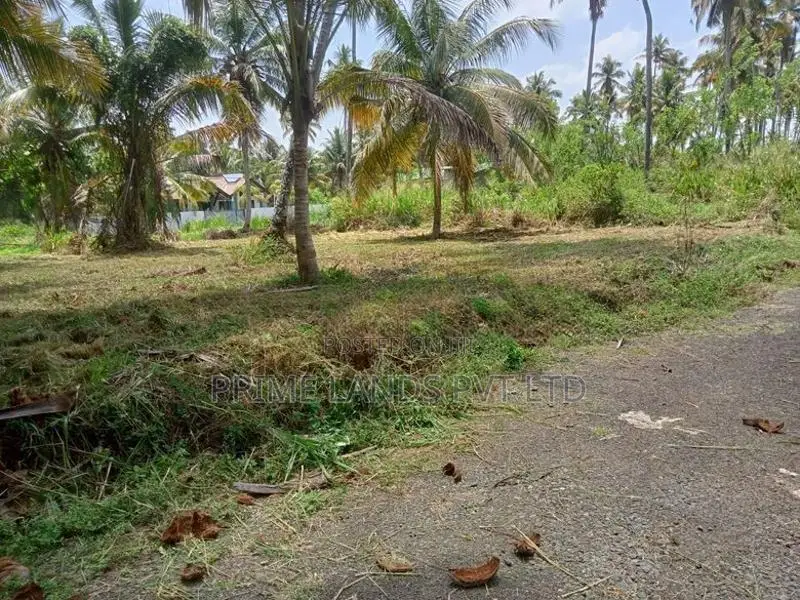 නාරම්මල නගරයට අසන්නයෙන් ඉඩමක් විකිණීමට