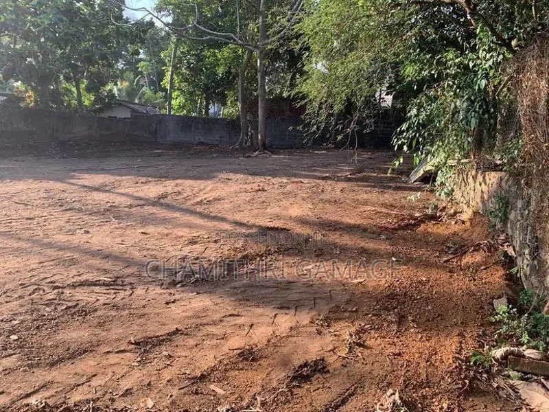Land For Sale In Piliyandala