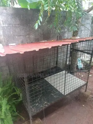 බලු කූඩුවක්