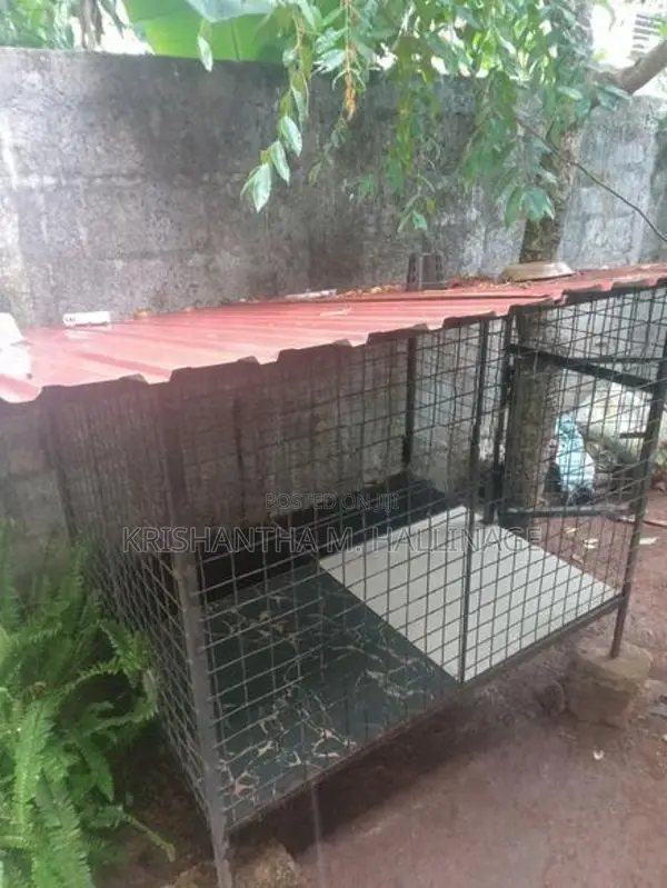 බලු කූඩුවක්