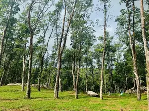 Valuable Plots for Sale in Ballapitiya