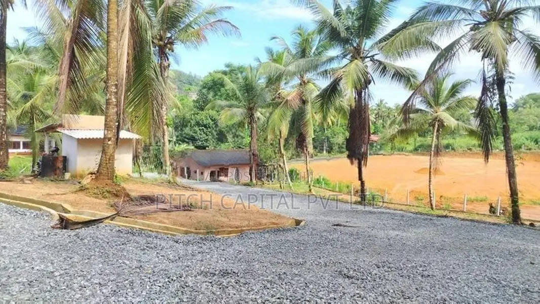 219 හංවැල්ල වේවැල්පනාව බස් පාරෙන්ම වටිනා බිම්කොටස් විකිණීමට