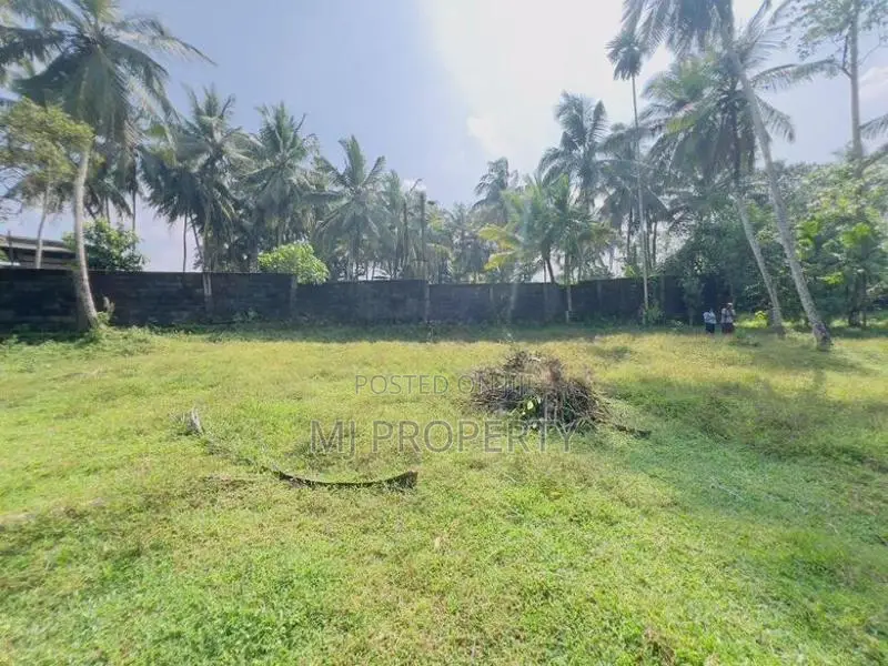 ( TS-1310) Valuable Residential Bare Land Sale In Giridara Dompe