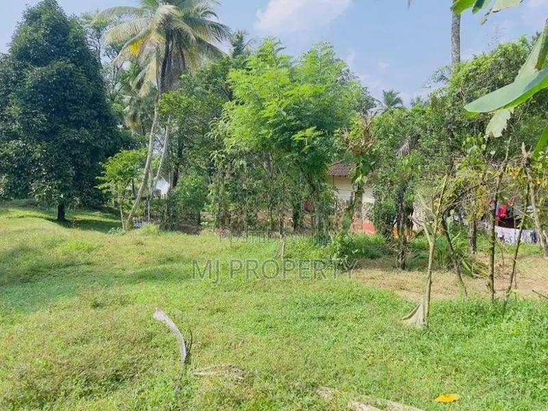 ( TS-1310) Valuable Residential Bare Land Sale In Giridara Dompe