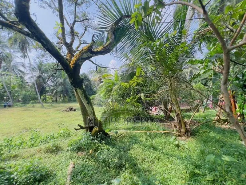 ( TS-1310) Valuable Residential Bare Land Sale In Giridara Dompe