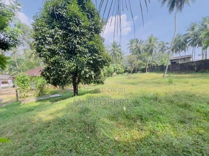 ( TS-1310) Valuable Residential Bare Land Sale In Giridara Dompe