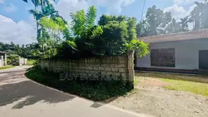 කිරිවත්තුඩුව - තලගල නිස්කලංක පරිසරයක පිහිටි නිවස සහ ඉඩම KK In Homagama